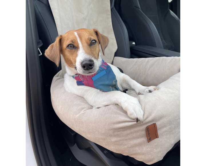 Fotelik samochodowy dla psa Transporter Velvet