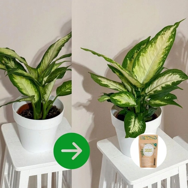 CocaShield Odżywka Do Roślin Ochrona ANTY - Szkodnik Niesamowicie