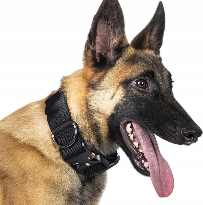 TAKTYCZNA OBROŻA QR DLA PSA MOCNA REGULOWANA POLICYJNA MOCNA 40-55cm L 4cm