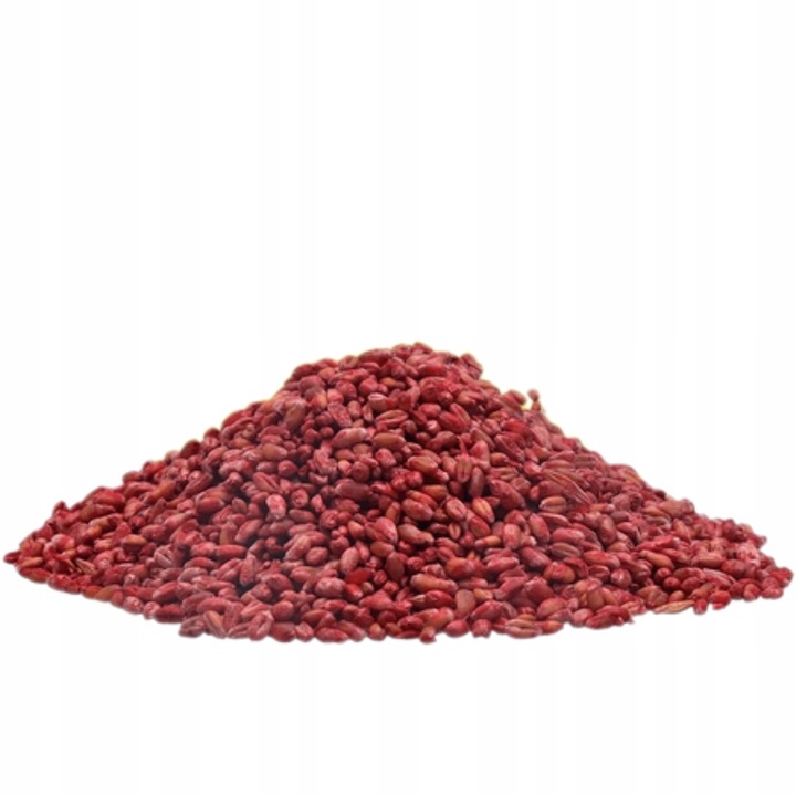 RATIMOR Trutka na myszy i szczury zbożowa Zatrute ziarno Bromadiolon