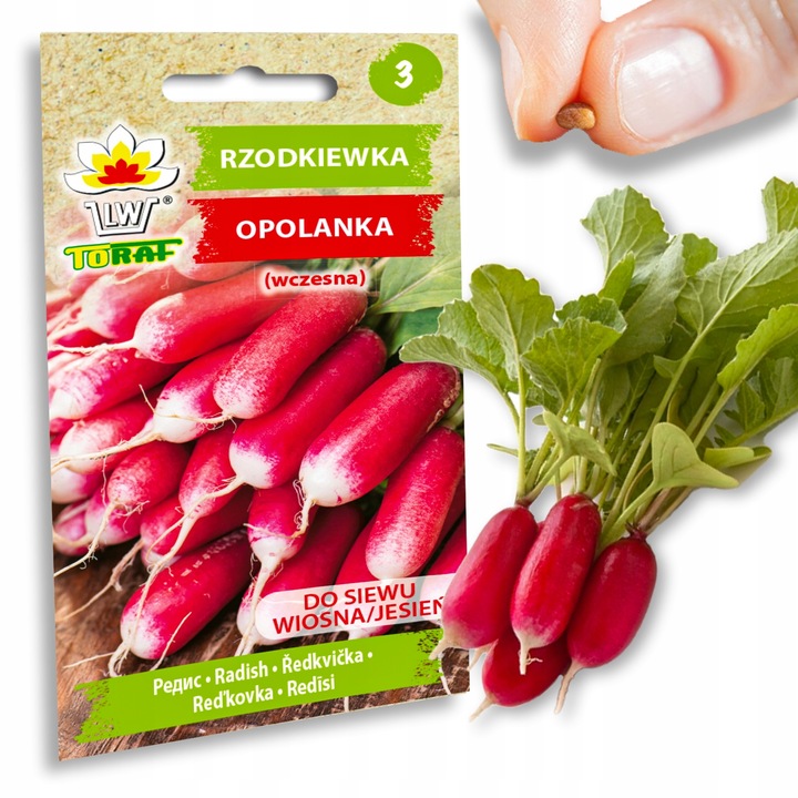 Nasiona warzyw marchew ogórek pietruszka burak NA DOBRY START UDANE PLONY