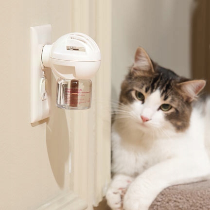 FELIWAY ZESTAW STARTOWY 30 dniowy