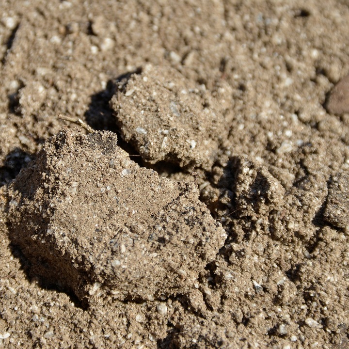 Podłoże dla żółwia do terrarium Ziemia dla żółwia Testudo Soil Original 25L