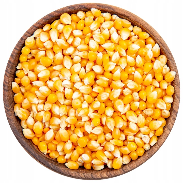 Kukurydza POPCORN 5 kg do prażenia ZIARNO 5000g bez soli PREMIUM JAKOŚĆ 5kg