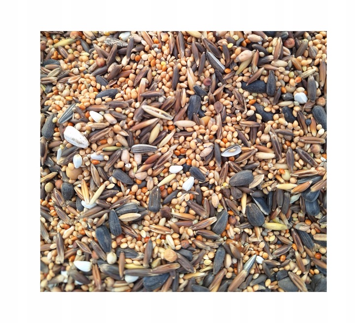 Pokarm dla papug średnich ziarno karma dla nimfy nierozłączki10 kg