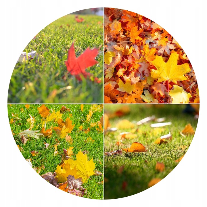 SIARKOPOL NAWÓZ JESIENNY DO TRAWNIKÓW TRAWY 15KG OGRÓD2001