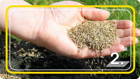 Trawa Nasiona Samozagęszczająca UNIWERSALNA odporna na deptanie 5kg 2024r.