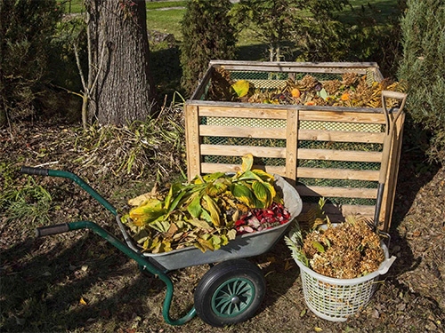 Grzybnia do rozkładu pni i korzeni 750ML NATURALNA