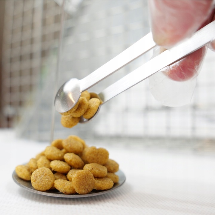 ŻYWOŁAPKA PUŁAPKA NA KUNY SZCZURY ŁASICE NORKI TCHÓRZE ŁASKI ŁAPKA