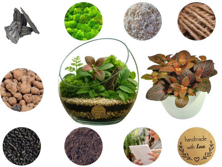 LAS W SŁOIKU SZKLE KOMPLETNY 10 elementów Z ROŚLINKĄ I KULA SŁÓJ ZESTAW