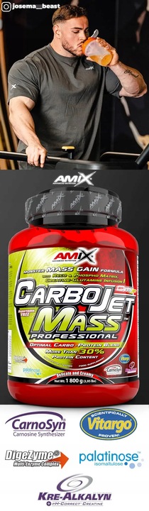 ODŻYWKA NA SIŁE I MASĘ 8 w 1 - Gainer z dodatkiem białka, kreatyny,