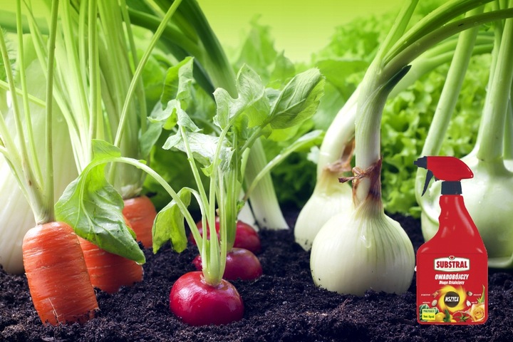 SUBSTRAL POLYSECT ŚRODEK OPRYSK MSZYCE PRZĘDZIORKI WEŁNOWCE MĄCZLIKI