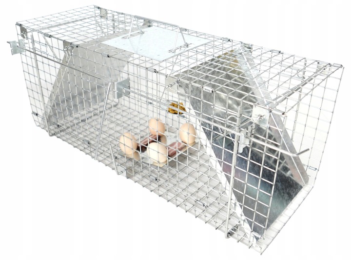 ŻYWOŁAPKA PUŁAPKA NA KUNY SZCZURY ŁASICE NORKI TCHÓRZE ŁASKI ŁAPKA