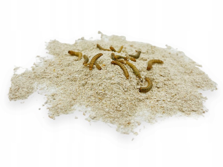 Pokarm Bug Bar 2L pasza dla owadów karmowych jak świerszcze, karaczany