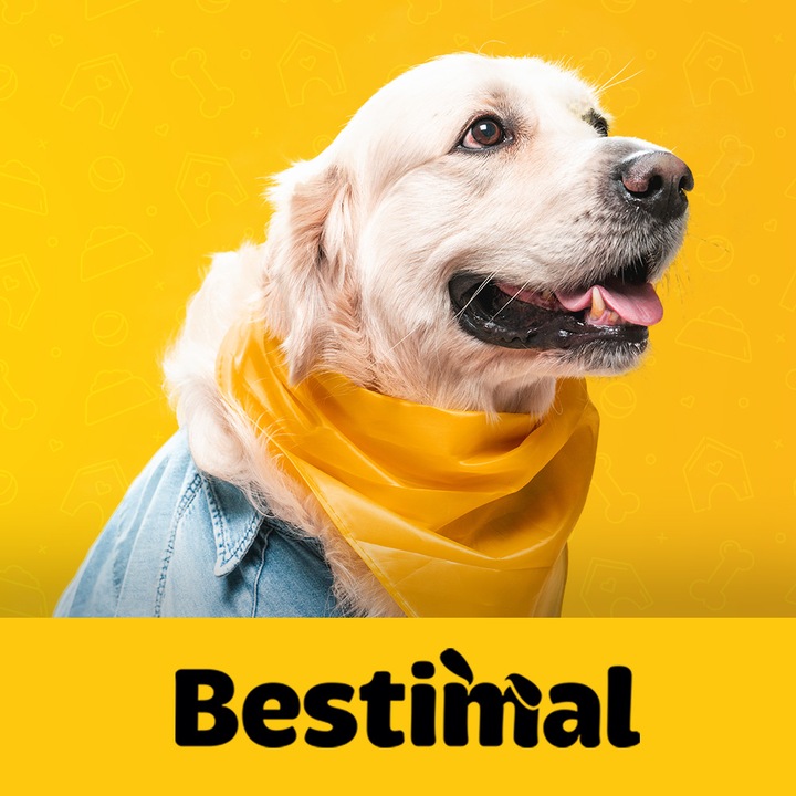 NATURALNE GRYZAKI BESTIMAL PAŁECZKI Z KACZKĄ 500G PRZYSMAK DLA PSA Z KACZKI