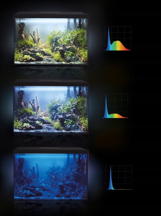 AKWARIUM 60x30x40 PROSTY 72L POKRYWA AQUAEL LEDDY DZIEŃ + NOC + WYPOSAŻENIE