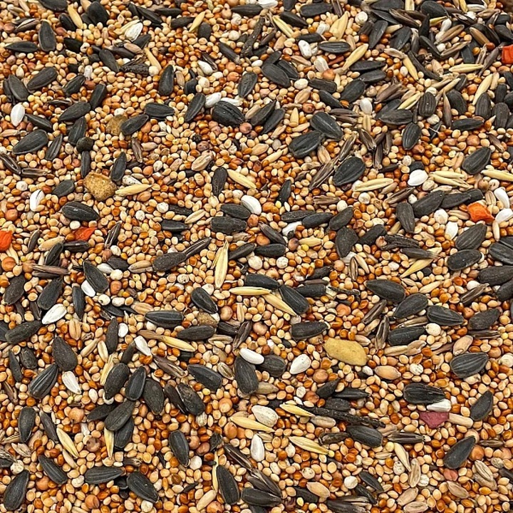 5kg Champi karma PREMIUM pokarm dla papug średnich Nimfy rozelli