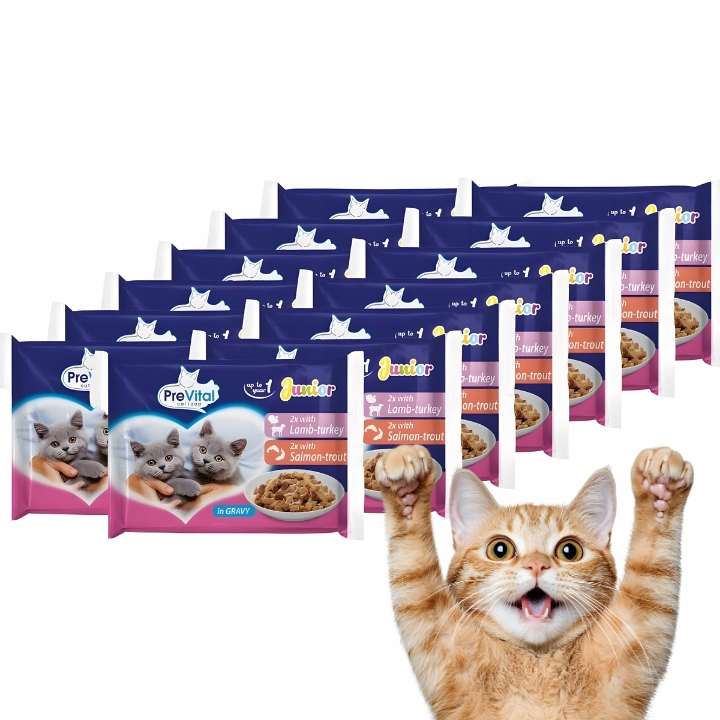 KARMA MOKRA DLA KOTA PREVITAL JUNIOR 52 X 100G SASZETKI DLA KOCIĄT MIX