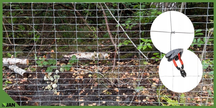 SIATKA LEŚNA ogrodzeniowa 180/24/15 L 50m GRATIS GĘSTA NA KURY DZIKA