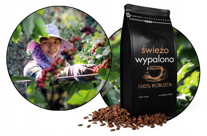 Kawa ziarnista 1kg ŚWIEŻO PALONA 100% ROBUSTA Z Palarni Do ekspresu