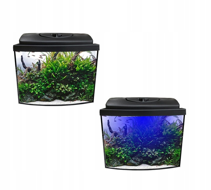 Zestaw 25l owalny LED 1W + wyposażenie Dzień I Noc