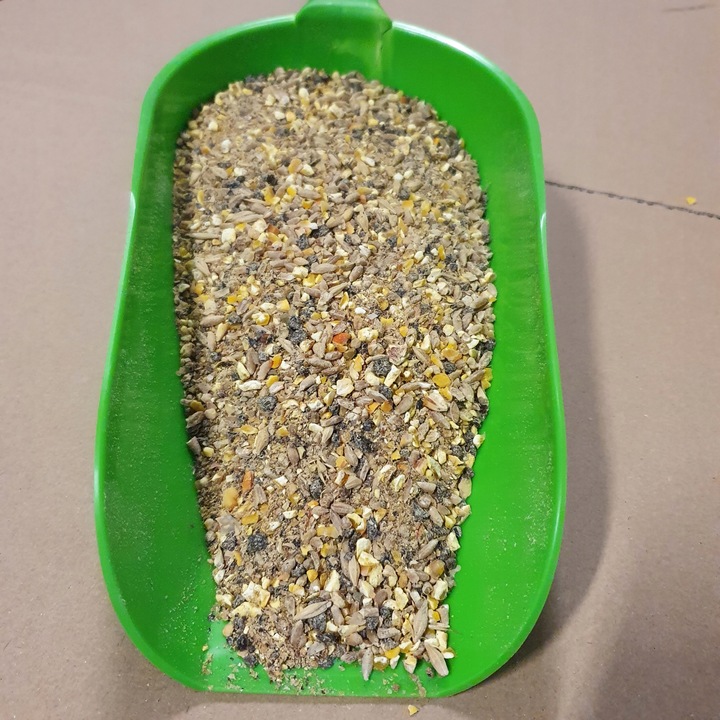 Avans Sypka De Heus 25kg Pasza dla kur niosek