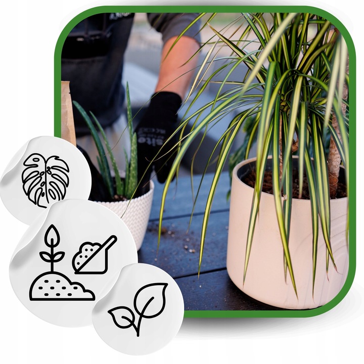 Ziemia do Kwiatów Podłoże do Monstery palm 20L Bio Bigos Lekkie