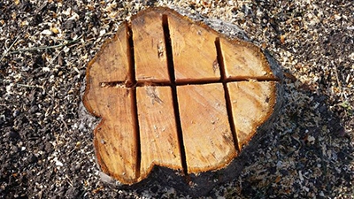 Grzybnia do rozkładu pni i korzeni 750ML NATURALNA