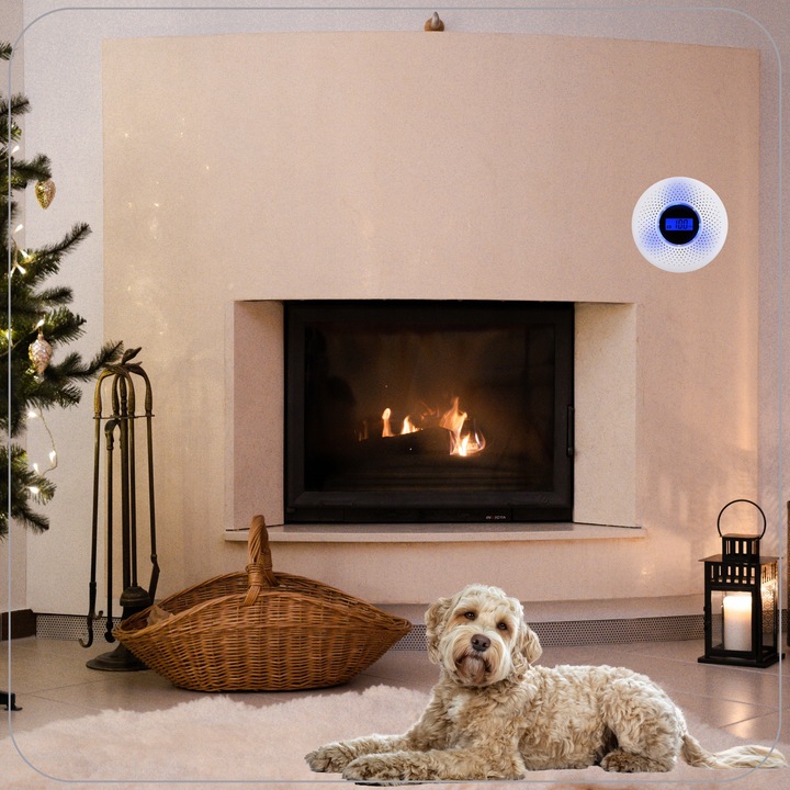 Czujnik Czadu i dymu Tlenku Węgla Detektor Alarm Wykrywacz Czadu