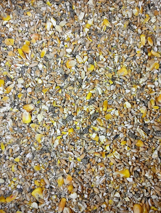 Karma dla kur niosek sypka Naturalna Bez GMO 25 kg Util-Pasz