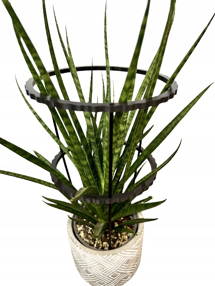 Podpórki do roślin kwiatów podpora pierścieniowa podpórka RINGS S33cm 16/18