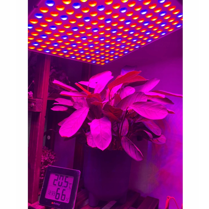 Lampa do Wzrostu Roślin Panel do Uprawy 225 LED + Liny Mocna 36W Wisząca