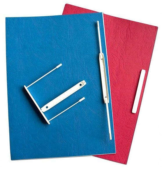 Wąsy archiwizacyjne klipsy 100szt Fellowes