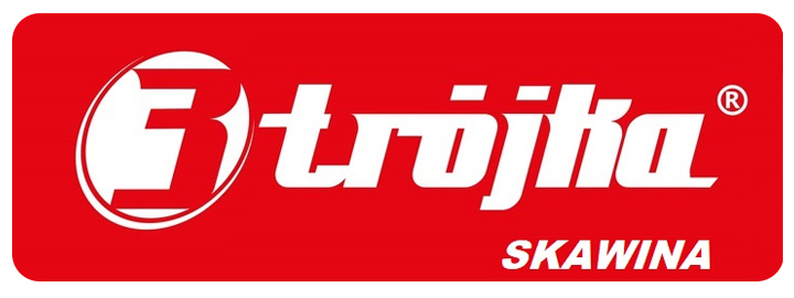 GWOŹDZIE PAPOWE PAPIAKI DO PAPY 3x30mm OCYNK | 5KG