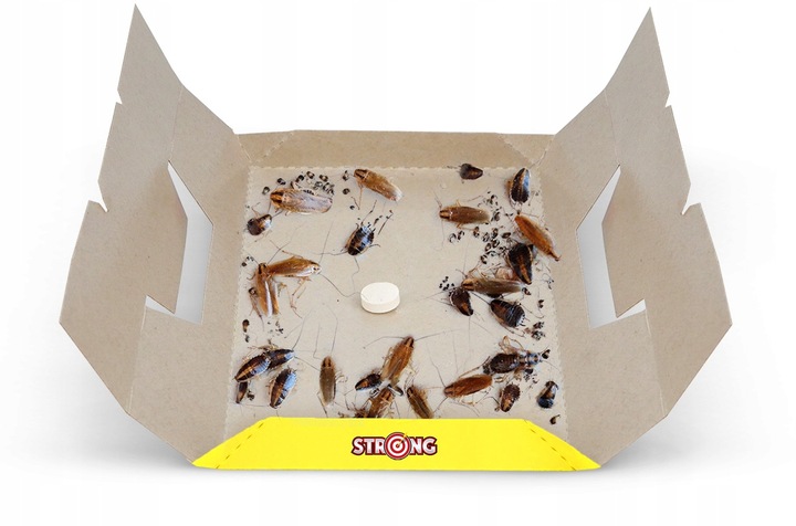 5X PUŁAPKA ŚRODEK NA PRUSAKI SILNIE WABIĄCY LEP NA KARALUCHY KARALEP