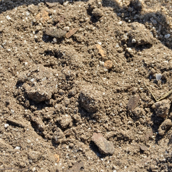 Podłoże dla żółwia stepowego greckiego lądowego Testudo Soil Original 25 L