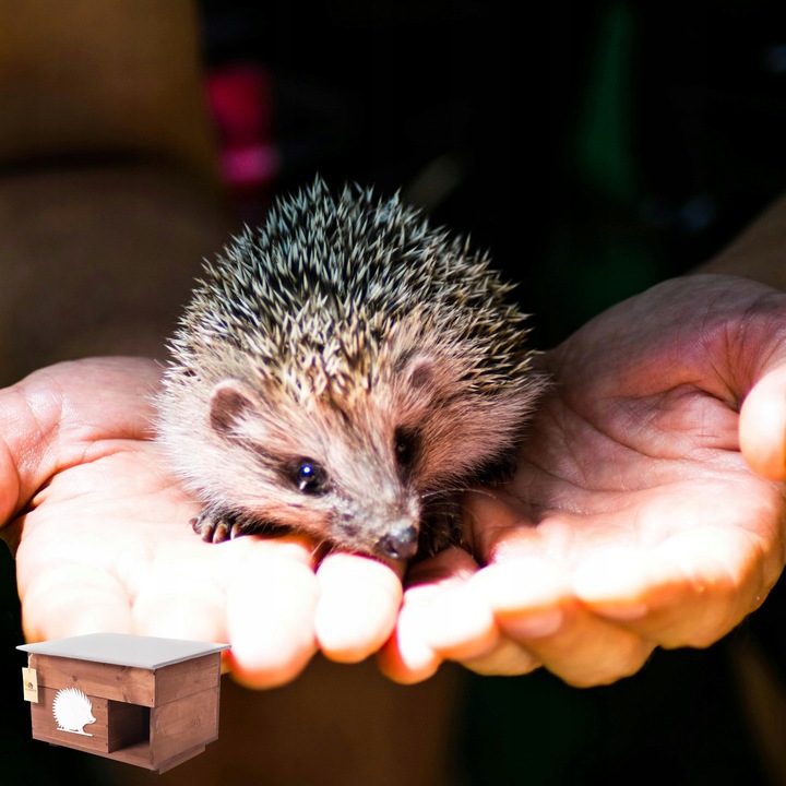 Domek dom dla Jeża jeży DREWNIANY budka dom legowisko producent XXL