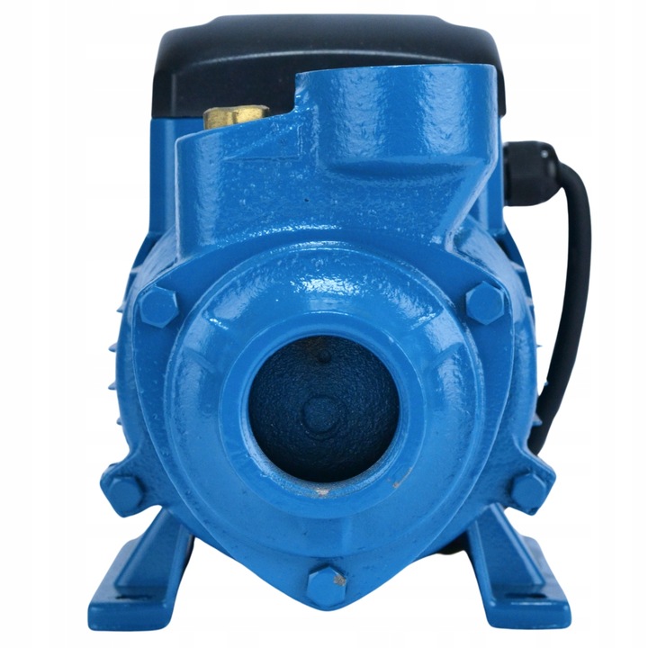 Pompa Ogrodowa HYDROFOROWA 900W - Wysoka Wydajność i IP68 do Czystej Wody