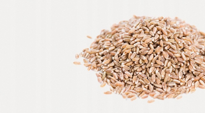 MĄKA ORKISZOWA JASNA GŁADKA TYP 630 10x1 kg PERNERKA