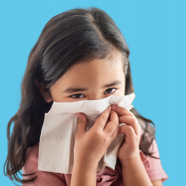 CHUSTECZKI HIGIENICZNE Alice 12x 100 sztuk 2W CELULOZA WYCIĄGANE W PUDEŁKU