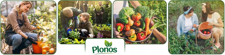 TUNEL FOLIOWY OGRODOWY SZKLARNIA 2x3m FOLIAK 6m2