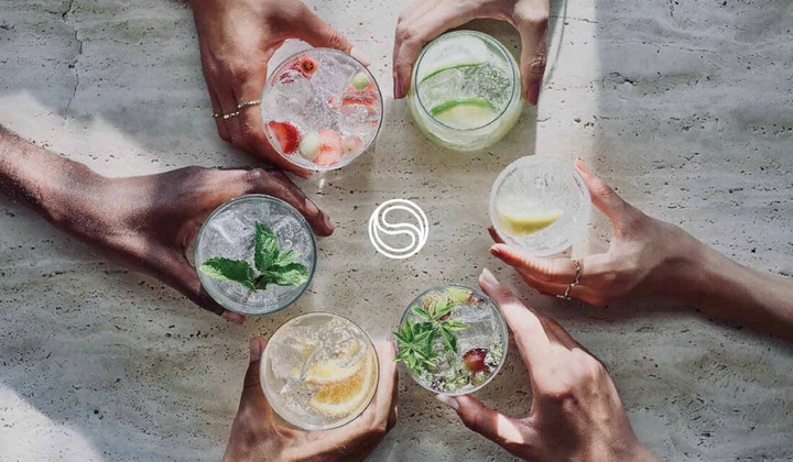 SodaStream OWOCE LEŚNE BEZ CUKRU koncentrat do saturatora syrop 440 ml