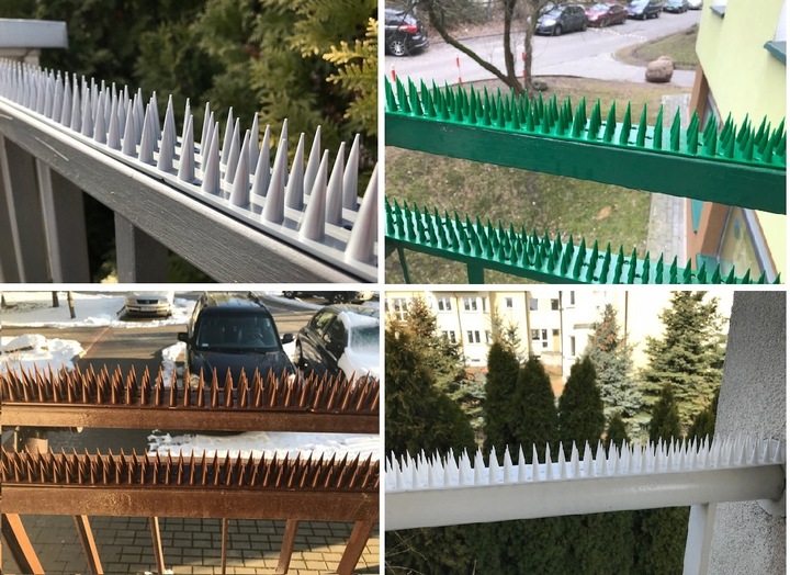 WYSOKIE KOLCE NA PTAKI GOŁĘBIE KUN KOLORÓW 10 SZT 5 METRÓW KOLOR