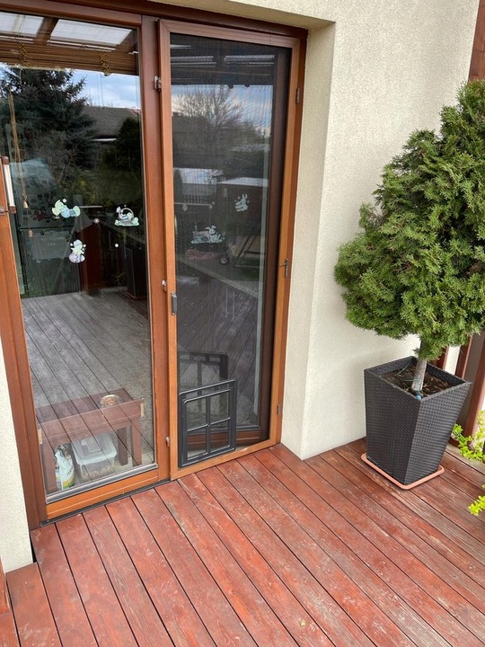 DRZWICZKI moskitiery dla kota i psa