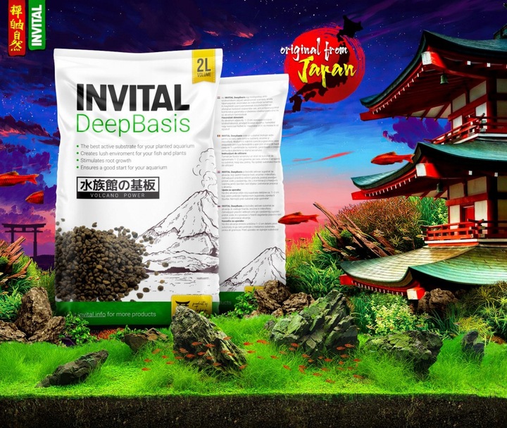INVITAL DeepBasis 2l podłoże odżywcze pod żwir