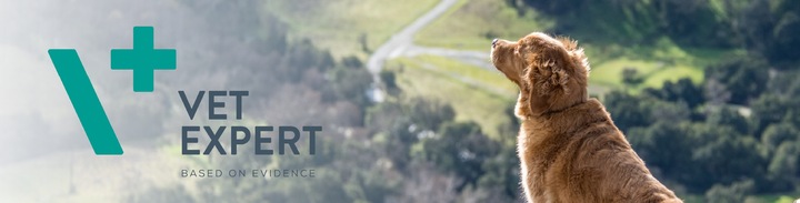 Mokra karma dla psów wsparcie wątroby kurczak Vet Expert Hepatic 6 x