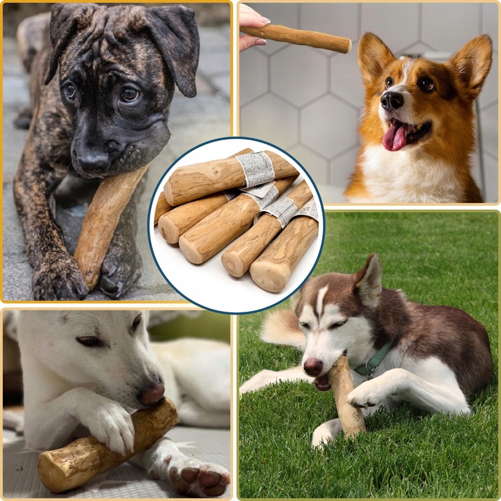 PATYK Z DRZEWA KAWOWEGO S NATURALNY KAWOWY GRYZAK DLA PSA WYTRZYMAŁY MAŁY