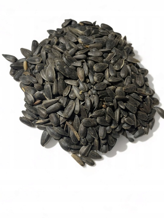 Czarny Słonecznik Ziarna Karma PREMIUM Dla Ptaków I Gołębi 10 kg