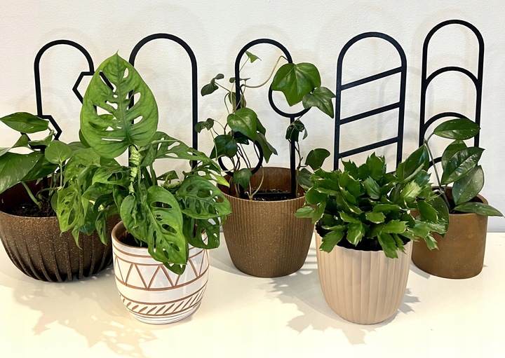 Podpora do Roślin Pnączy Podpórka Kwiatów Pnących Pergola Drabinka 38