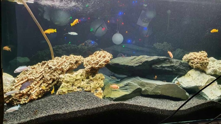 LAWA LAWA WULKANICZNA 2-8 mm 25 kg ŻWIREK AKWARIUM NA DNO